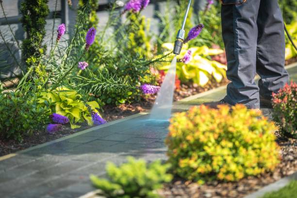 Best Soft Washing for Delicate Surfaces in Niverville, NY